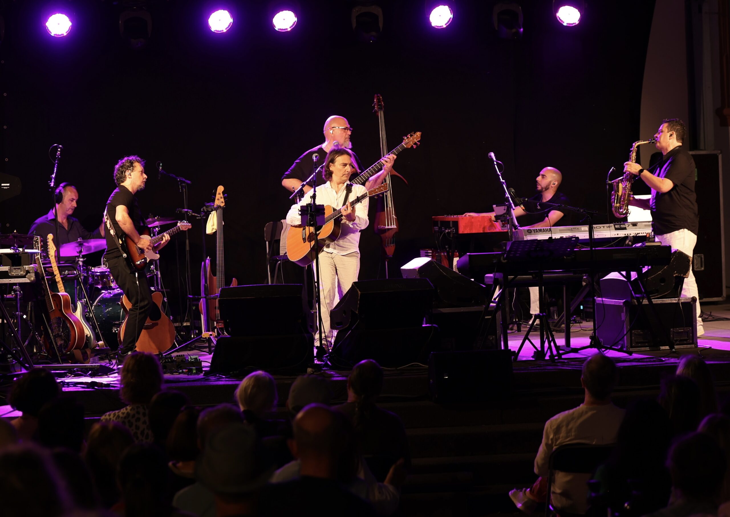 Pippo Pollina & Palermo Acoustic Quintet a Segesta